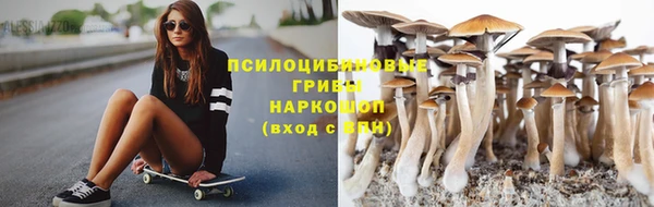 твердый Надым
