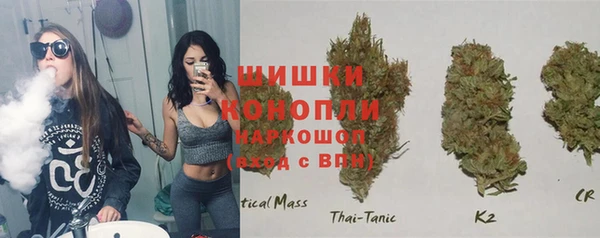 твердый Надым