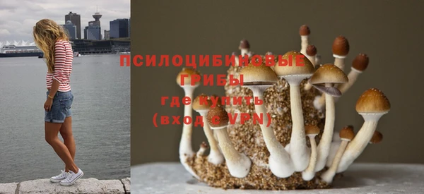 СК Наволоки