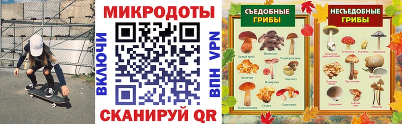 Галлюциногенные грибы Cubensis  Купить где  Абаза 